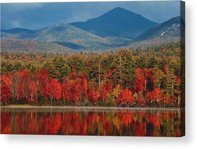 Trees Acrylic Print featuring the photograph Red Autumn Reflections by Nancy De Flon