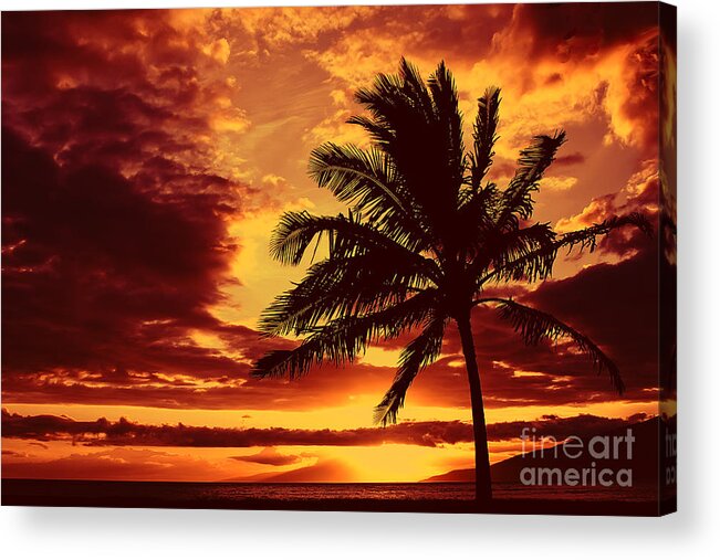 Palm Tree Acrylic Print featuring the photograph Red Hawaiian Sunset by Teresa Zieba