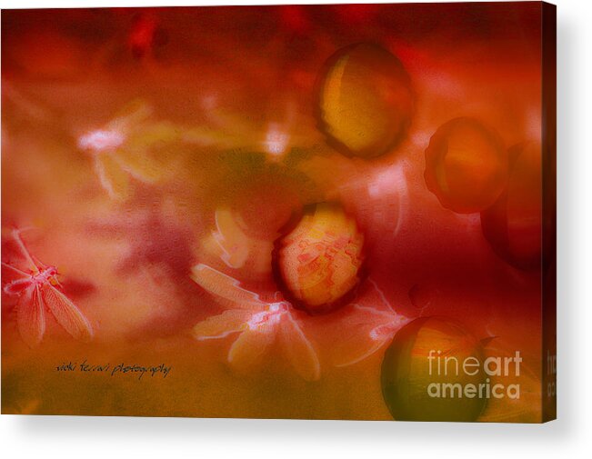 Bright Acrylic Print featuring the photograph Red Pearl Dragon Fly by Vicki Ferrari