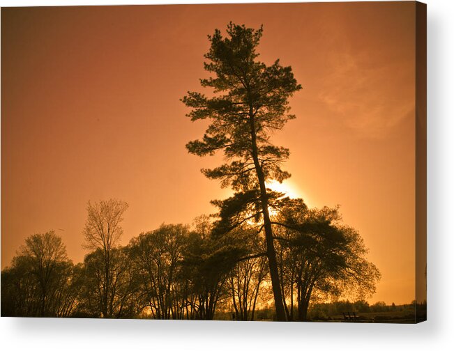 Canvas Artwork Acrylic Print featuring the photograph Rising Above by Jason Naudi Photography