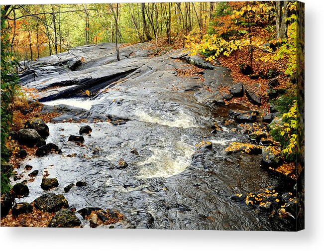 Water Acrylic Print featuring the photograph Riverbed by Douglas Pike