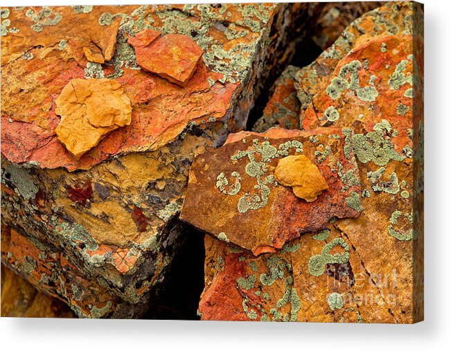 Lichen Acrylic Print featuring the photograph Rock Abstract I by Barbara Schultheis