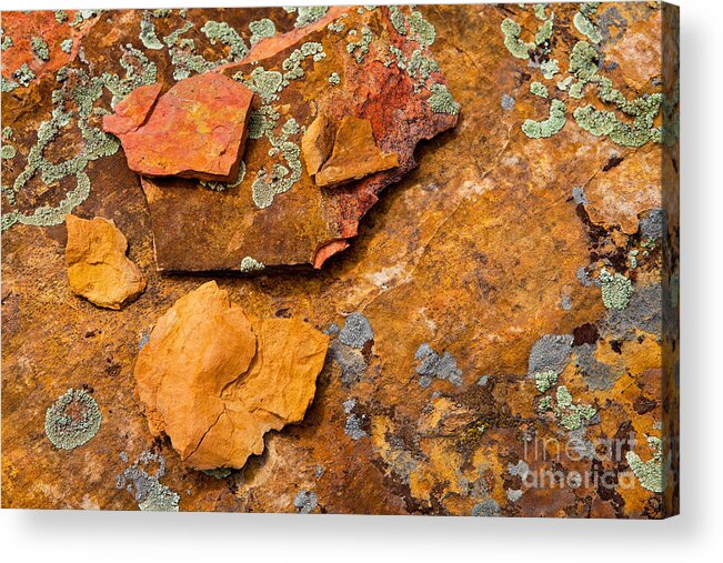 Sandstone Acrylic Print featuring the photograph Rock Abstract V by Barbara Schultheis