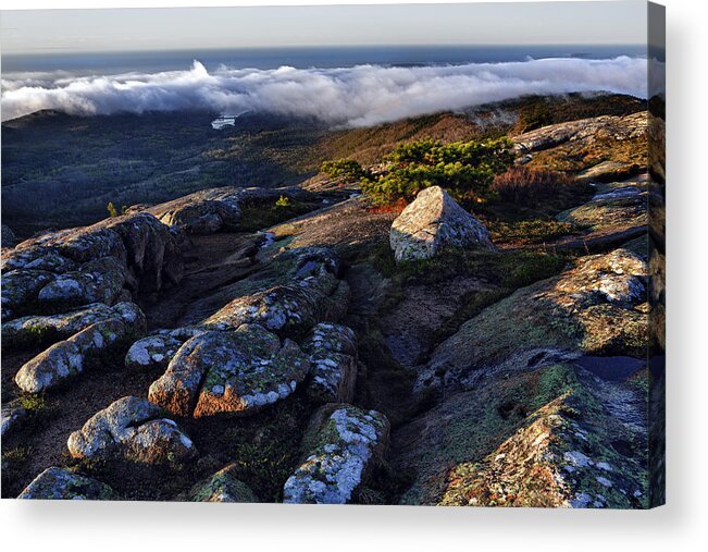 Cadillac Mountain Acrylic Print featuring the photograph Rock and Fog by Rick Berk