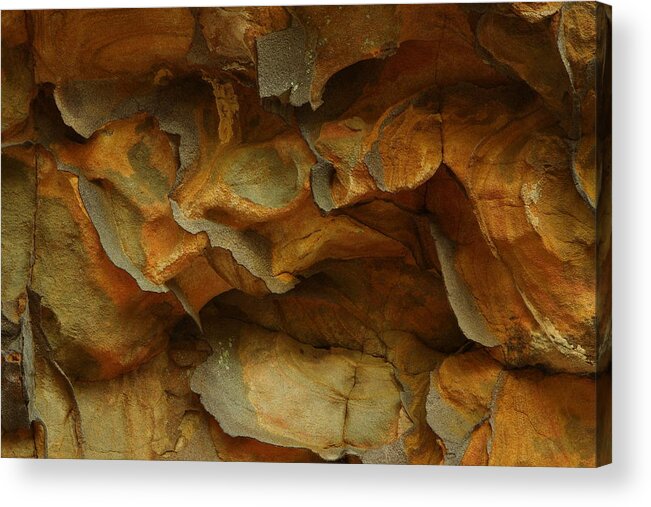 Rock Acrylic Print featuring the photograph Rock by Daniel Reed
