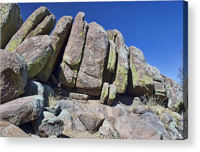 Rock Acrylic Print featuring the photograph Rock Pile Dog by Gregory Scott