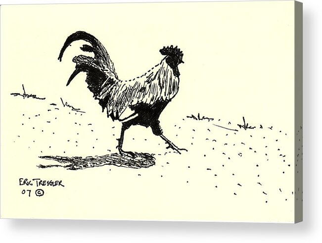 Rooster Acrylic Print featuring the photograph Rooster's Stride by Eric Tressler