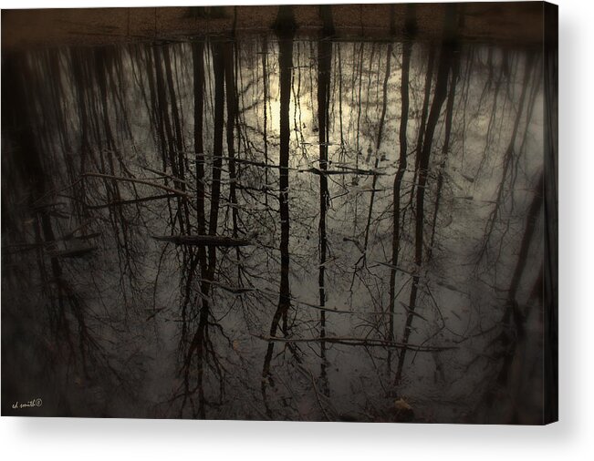 Roots Acrylic Print featuring the photograph Roots by Edward Smith