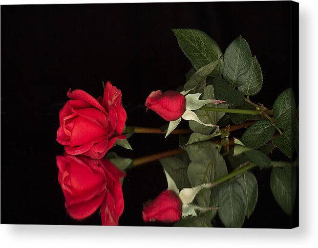 Rose Acrylic Print featuring the photograph Rose Reflection by Trudy Wilkerson
