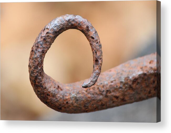 Iron Oxide Acrylic Print featuring the photograph Rust Horn by David Pickett