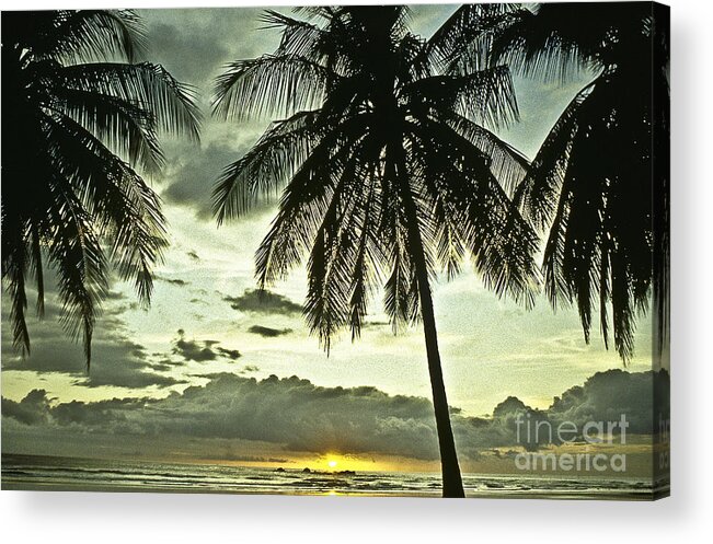 Landscape Acrylic Print featuring the photograph Scenic evening by Heiko Koehrer-Wagner