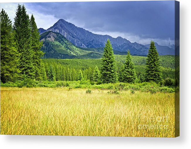 Rockies Acrylic Print featuring the photograph Scenic view in Canadian Rockies by Elena Elisseeva