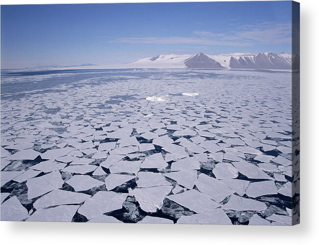 Mp Acrylic Print featuring the photograph Sea Ice Break-up, Aerial View by Tui De Roy
