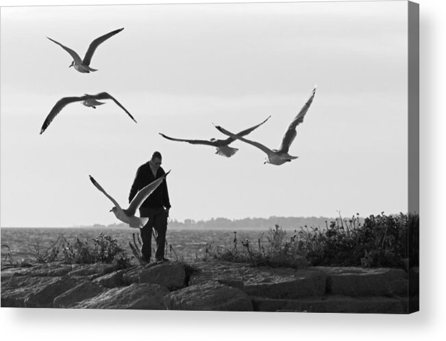 Birds Acrylic Print featuring the photograph Seaside by David Freuthal