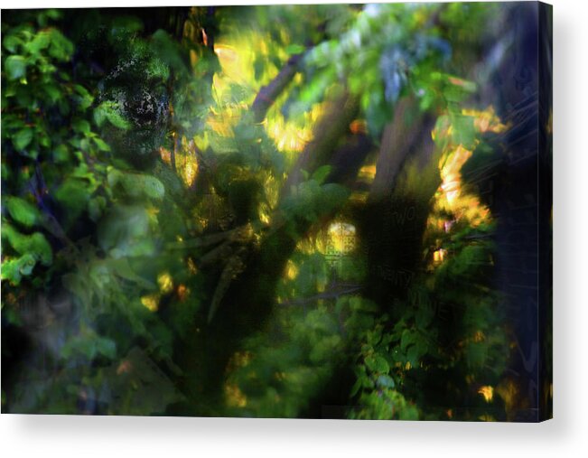Secret Forest Acrylic Print featuring the photograph Secret Forest by Richard Piper