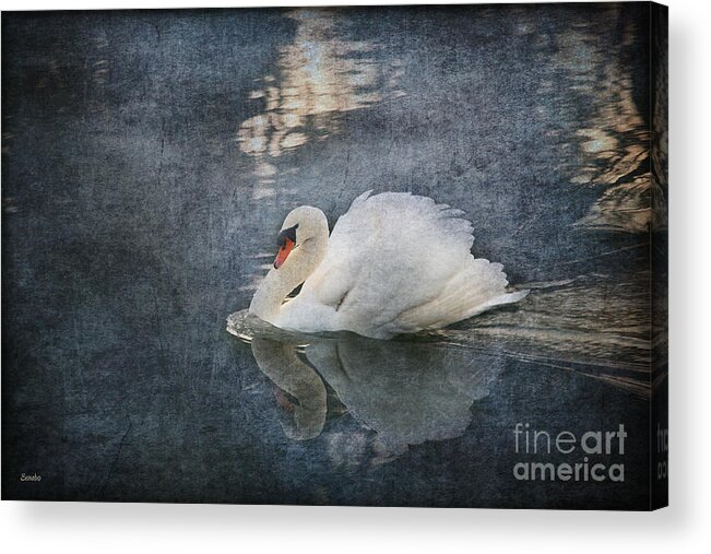 Swan Acrylic Print featuring the photograph Seeing off the Day by Eena Bo