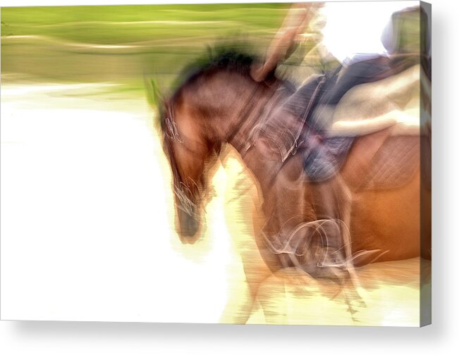 Horse Acrylic Print featuring the photograph Slow Dancing by Pamela Steege