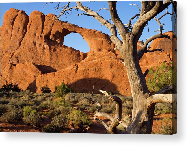 Utah Acrylic Print featuring the photograph Slyline Arch by Steve Stuller