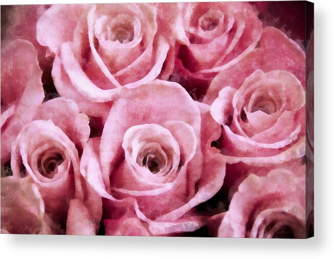 Pink Acrylic Print featuring the photograph Soft Pink Roses by Angelina Tamez