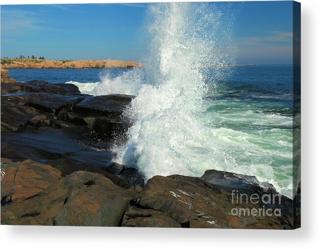 Acadia National Park Acrylic Print featuring the photograph Splash by Adam Jewell