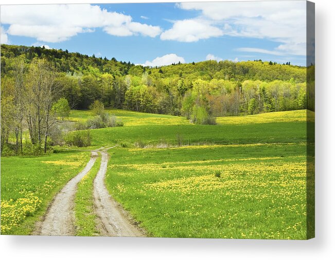 Maine Farmland Acrylic Print featuring the photograph Spring Farm Landscape With Dirt Road in Maine by Keith Webber Jr