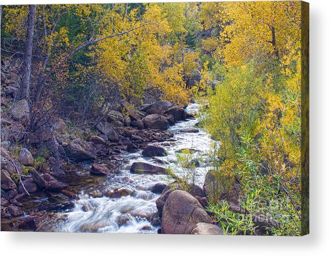 Autumn Acrylic Print featuring the photograph St Vrain Canyon and River Autumn Season Boulder County Colorado by James BO Insogna