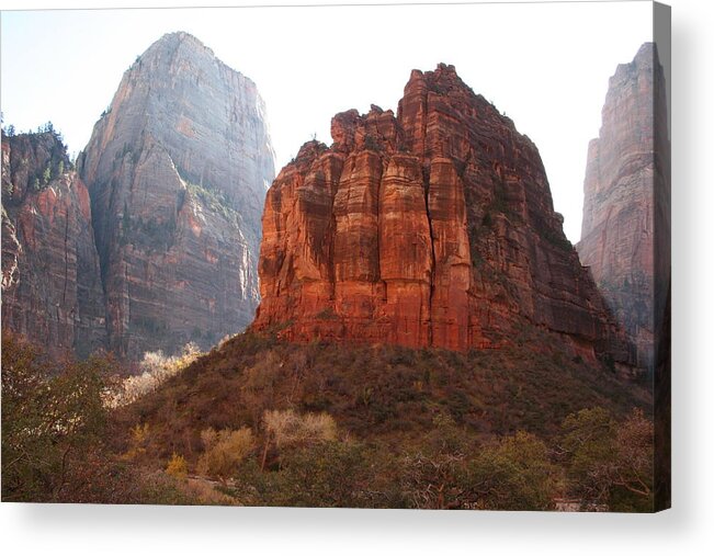 Mountains Acrylic Print featuring the photograph Standing Out by Patricia Haynes