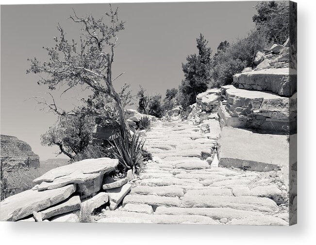 Trail Acrylic Print featuring the photograph Steps on the Hermit's Rest Trail II BW by Julie Niemela