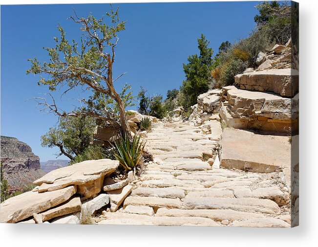 Trail Acrylic Print featuring the photograph Steps on the Hermit's Rest Trail II by Julie Niemela