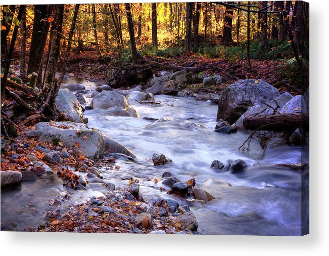 Vermont Acrylic Print featuring the photograph Stickney Brook by Tom Singleton