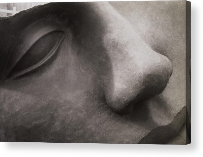 Art Acrylic Print featuring the photograph Stone Face by Kevin Duke