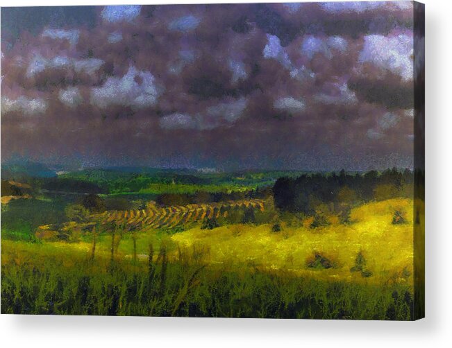 Landscape Acrylic Print featuring the photograph Storm clouds over meadow by Michael Goyberg