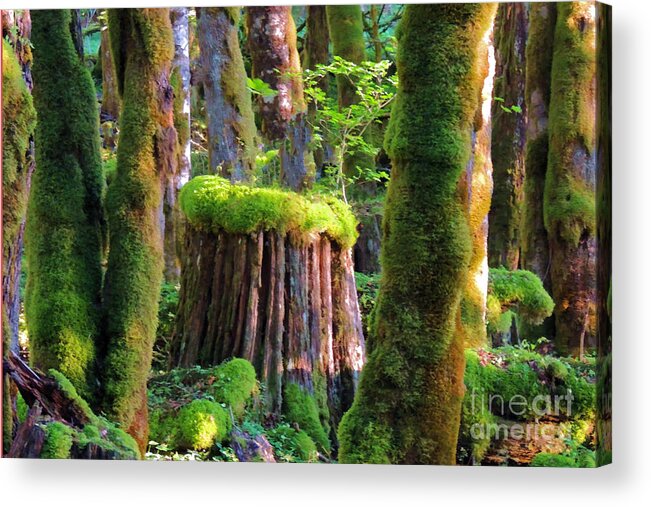 Moss Acrylic Print featuring the digital art Stump and Moss by L J Oakes