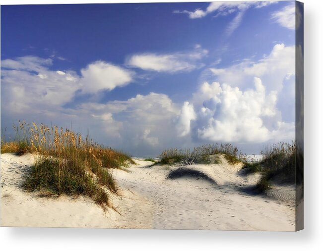 Photo Acrylic Print featuring the photograph Summer Dunes -2 by Alan Hausenflock