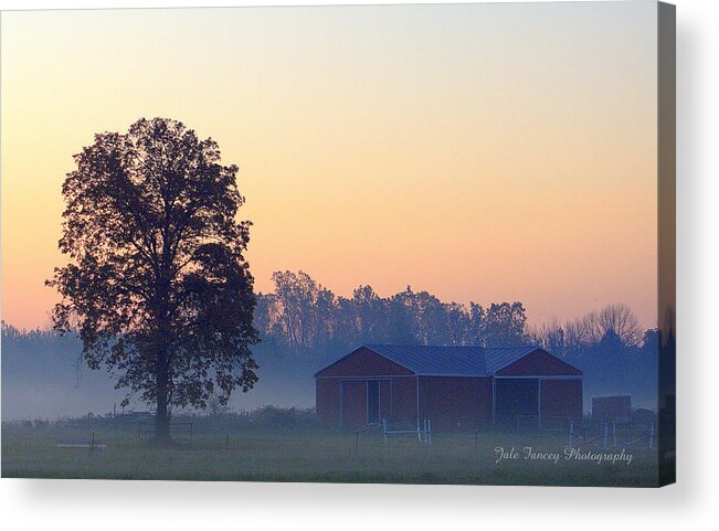 Trees Acrylic Print featuring the photograph Sunrise on the farm by Jale Fancey