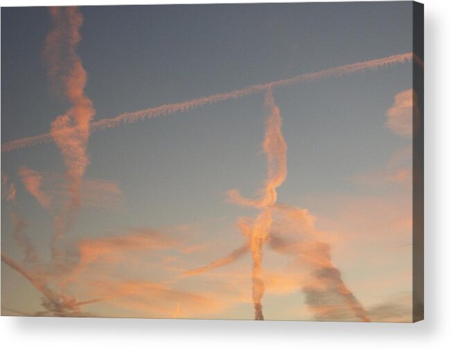 Botanical Acrylic Print featuring the photograph Surreal Sky by Russ Bertlow