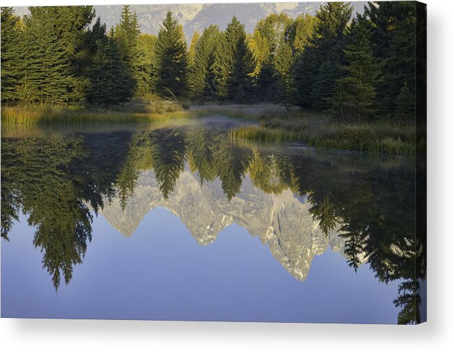 Water Acrylic Print featuring the photograph Teton Morning Reflections by Mark Harrington