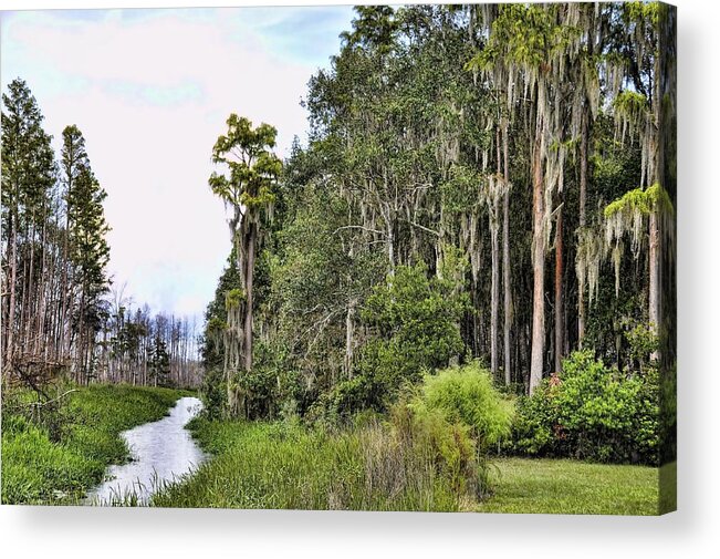 Landscapes Acrylic Print featuring the photograph The Canoe Trail by Jan Amiss Photography