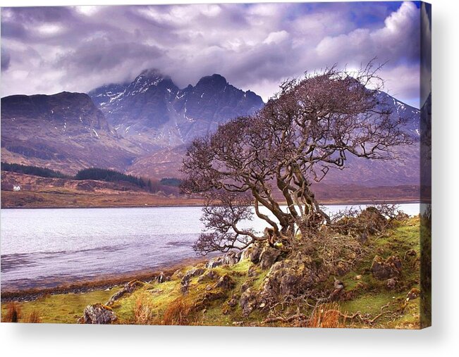 Cuillins Acrylic Print featuring the photograph The Cuillins Skye by Joe Macrae