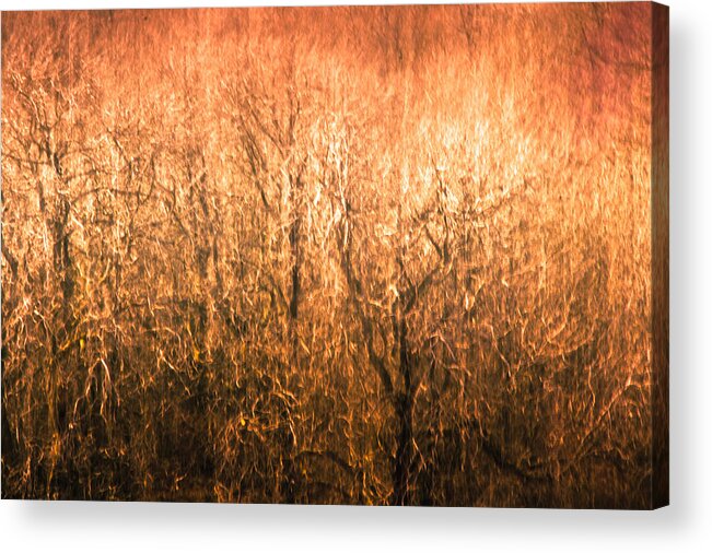 Fire Acrylic Print featuring the photograph The Forest Fire by Justin Albrecht