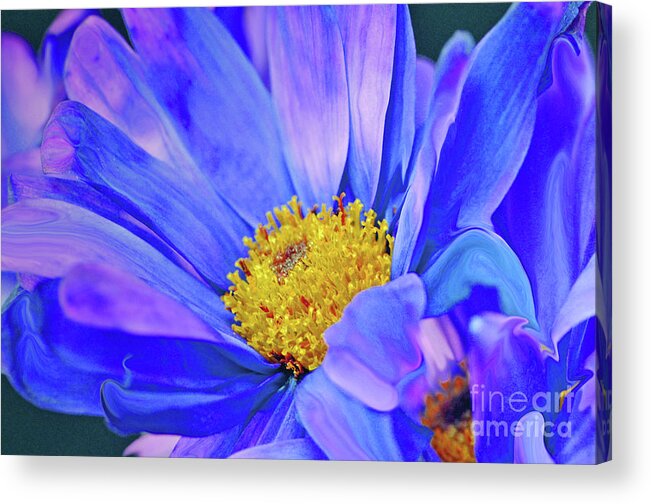 Flower Acrylic Print featuring the painting The Happy Accident.... by Tanya Tanski