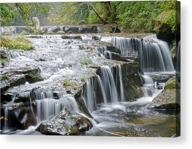 River Acrylic Print featuring the photograph The Path to Sweet Creek Falls by Margaret Pitcher