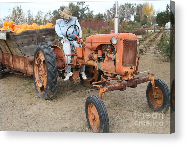 Transportation Acrylic Print featuring the photograph The Scarecrow Riding On The Old Farm Tractor . 7D10300 by Wingsdomain Art and Photography