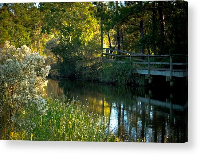 Creek Acrylic Print featuring the photograph The Walkway by Brian Wright