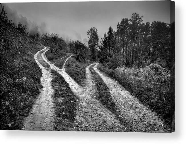 Blue Ridge Acrylic Print featuring the photograph Three Paths Meet by T Cairns