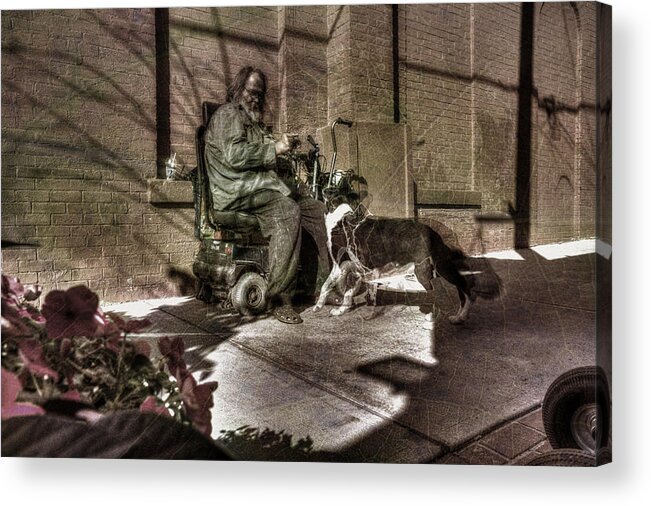 Acrylic Prints Acrylic Print featuring the photograph Time Warp Border Collie by John Herzog
