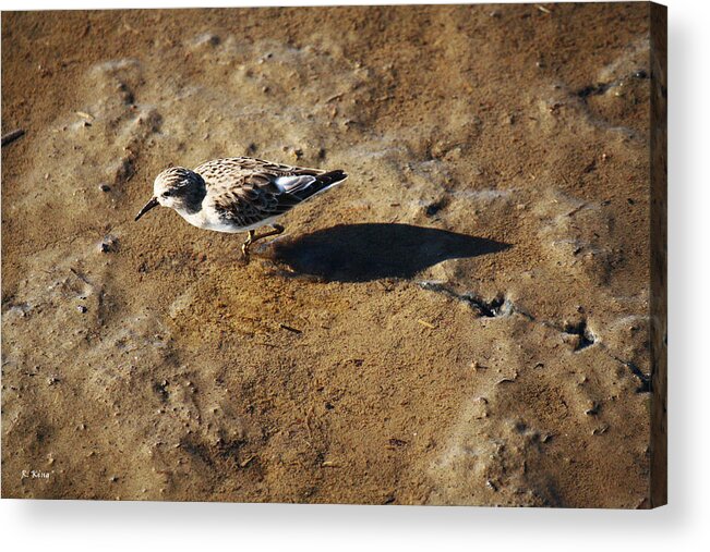 Roena King Acrylic Print featuring the photograph Tracks In The Mud by Roena King