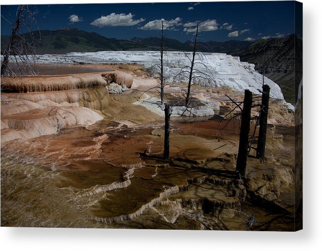 Yellowstone National Park Acrylic Print featuring the photograph Travertine Terraces by Ralf Kaiser