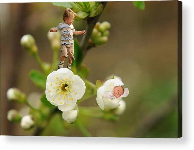 Beautiful Acrylic Print featuring the photograph Two tiny kids playing on flowers by Jaroslaw Grudzinski