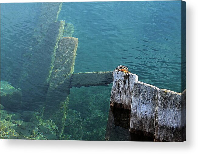 Hovind Acrylic Print featuring the photograph Underwater Fence by Scott Hovind